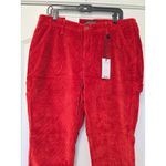 Judy Blue  Plus Womens Slim Fit Corduroy Size 31 rust Orange NWT 
Boho JB88377 Photo 2