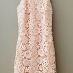 Lulus  Love Poem Lace Mini Dress Pink Sz Small Photo 0