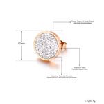 Boutique Sparkling Iced Crystal Round Stud Earrings Silver Plated Stainless Photo 4