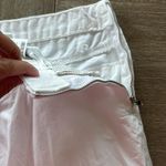 ZARA Bubble Skirt Photo 3