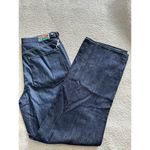 Daily Blue Hope Jeans Zephyr Blue Wash Utility Cargo Pant High Rise Size 30 Photo 4