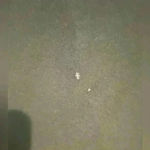 Giani Bernini Women’s Black Formal Dress Photo 3