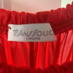 Sans Souci Vintage nightgown Photo 1