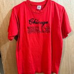 Fruit of the Loom Vintage Embroidered Chicago Bulls T-shirt Fits Medium to Small Photo 0