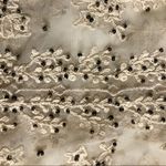 Willow & Clay Top Crocheted Beaded Cami Sleeveless Floral Mesh Sheer Cream Black Photo 8