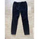 Soft Surroundings New  Stretch Velvet Leggings Blue Pants‎ 8 Photo 4