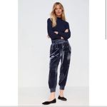 Anthropologie By‎  Gloria Navy Velvet Joggers MEDIUM Photo 1