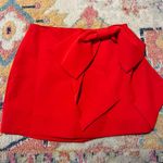 Endless Rose Skirt Photo 1