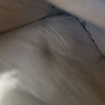 Shoes Size 7.5 Women's Elie Saab Heels Ankle Strap Floral Lace Pattern Women's Shoes Photo 13