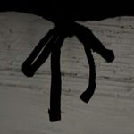 No Bo Nwt  Womens Size Small 3-5 Short Sleeve Black white Crop Top‎ Shirt Photo 2