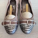 AGL Attilio Giusti Leombruni Monika Ballet Flats Size 38 Brown Suede Cap Toe Photo 1