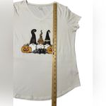 No Boundaries Fall Gnome, Pumpkin T-shirt Photo 4