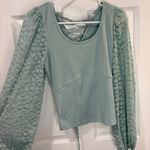 Willow + Root  Top Photo 0