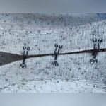 white + warren wool cashmere 3 hook grandpa cardigan oatmeal size medium Tan Photo 7