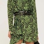 Rent the runway size 4 low cut ronny kobo zebra print green dress ruffle animal Photo 0
