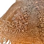 Urban Outfitters  NWT Soule Fringe Trim Velvety Knit Cardigan Black Size M Photo 5