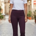 Ecru  Flare Dress Pants Size 4 Deep Wine Photo 0