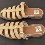 New DV By Dolce Vita Falcon Raffia Buckle Mules Slip On Natural Size 8.5 Tan Photo 3