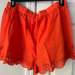 Anthropologie Eyelet Cover-Up Shorts, Size XL Photo 6
