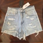 Signature 8 Denim Shorts Photo 0
