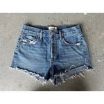 AGOLDE AGOLDR parker shorts cut 53131 style A026C-1141 size 24 Photo 6