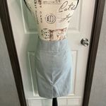 The Limited New  Collection Elegant Gray Women's Skirt Size 6 Photo 5