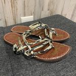 Sam Edelman Georgette Flat Strappy Snakeskin Flat Sandals Photo 0