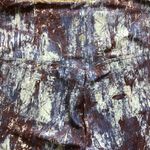 Bally Total Fitness 💚 NWT 💚  SHAPE ENHANCING TUMMY CONTROL LEGGINGS Sz Med Photo 4