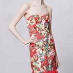 Peter Som for Anthropologie Luisa Poppy
Dress size 12 Photo 12