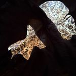 Vintage Y2K Leopard Print Semi Photo 10