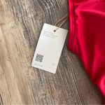 Quince Red Italian Cross Photo 6