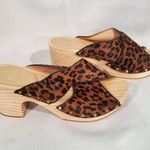 Paige Jules Genuine Calf Hair Mule by  size 8.5.s48 Photo 0