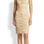 David Meister  Embroidered Illusion Cocktail Dress Photo 0