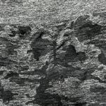 Gymshark Black Camo Seamless Leggings Photo 5