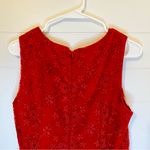 Forever 21 Red Floral Lace Dress Holiday Party Christmas Photo 4