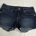 Level 99 Blue Jean Shorts Distressed Cut Photo 0