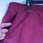 Fabletics  Maroon Scrub Joggers Doctor Pharmacist Nurse Surgeon Size XXL/1X GUC Photo 2