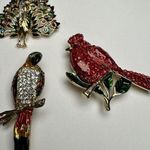 Rhinestone Parrot, Cardinal, Peacock, Owls Brooch Pin Lot Of 4 Gold Tone Photo 2