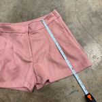 NWT Ryegrass salmon pink suede pleated trouser shorts Size 2 Photo 2