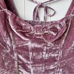 Free People  velvet top corset crop top Photo 2