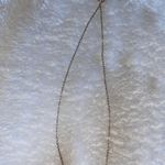 Target Sugar fix Gold Knot Necklace  Photo 0