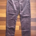 Ann Taylor Velvet Skinny Jean Photo 0