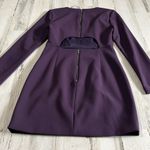 Elizabeth and James  Rudi Deep Plum Dress Size 6 NWT Photo 4