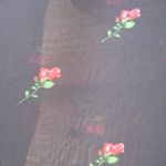 Wildfox NWT  Sheer Rose Print Peasant Blouse Top Photo 4