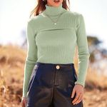 Pretty Garden Women's Long Sleeve Green Pastel Knit Turtleneck Sweater Size S Photo 1