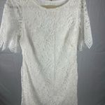 Anthropologie New Charleston Lace Mini Dress Size 8 White Scalloped Lace Spring Photo 3