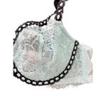 Victoria's Secret Victoria’s Secret Retro Chic Full Figure Bra size 36C Photo 2