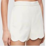 Wilfred 
Arbre Short brown size 6 Photo 2