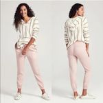 Faherty  Arlie Day Linen Blend Jogger Pant in Light Pink‎ Size Medium Photo 1
