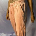 PINK - Victoria's Secret Victoria Secret PINK velour jogger pants  
Women’s large L Photo 1